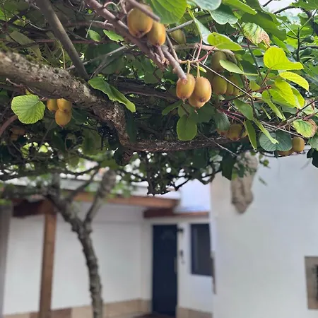 Lägenhet Design Penthouse Im Alten Schloss