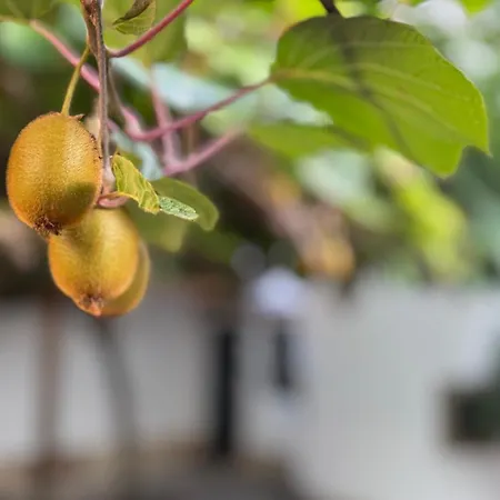 Design Penthouse Im Schlossareal