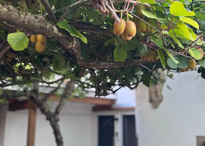 Apartment Design Penthouse Im Schlossareal