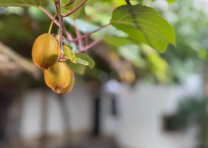 Design Penthouse Im Schlossareal